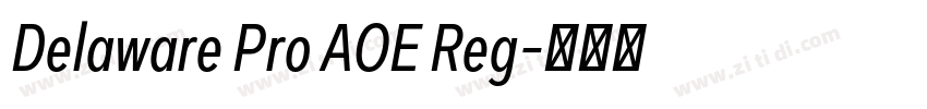 Delaware Pro AOE Reg字体转换
